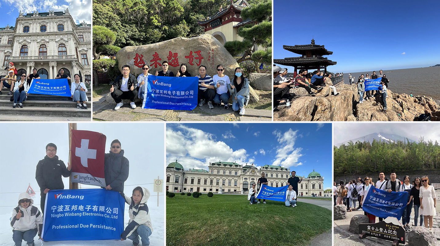 Sales Team of Ningbo Winbang Electronics Co.,Ltd